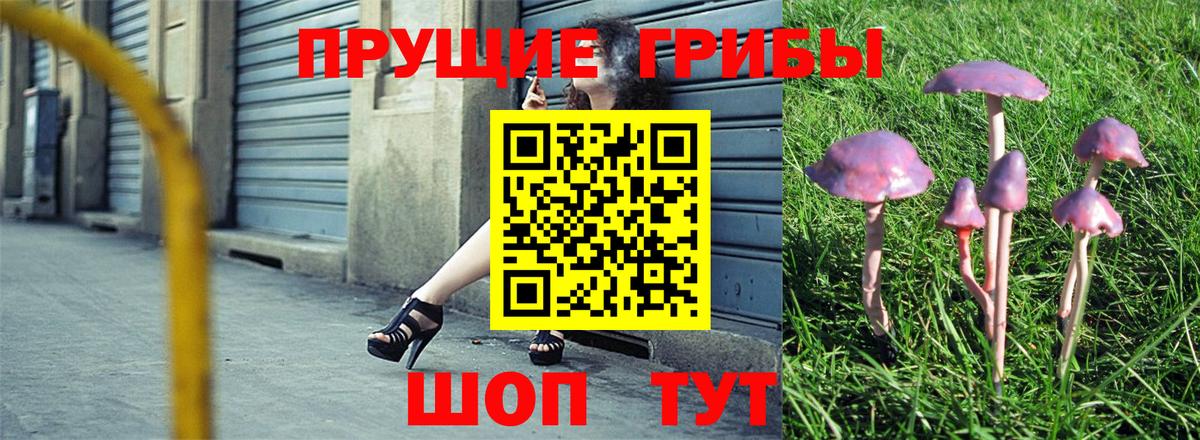 Калач-на-Дону  Псилоцибиновые грибы прущие грибы  Вход с VPN 