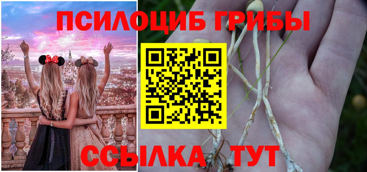 Галлюциногенные грибы мицелий Калач-на-Дону